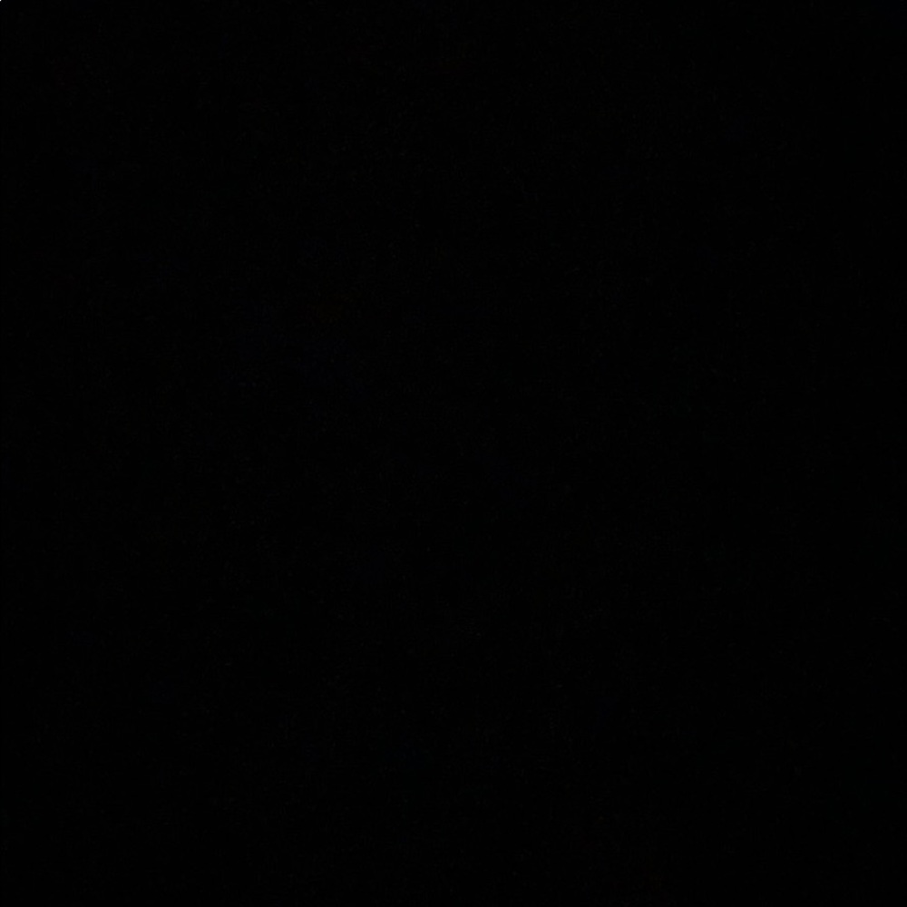 Meet your Posher, Riley